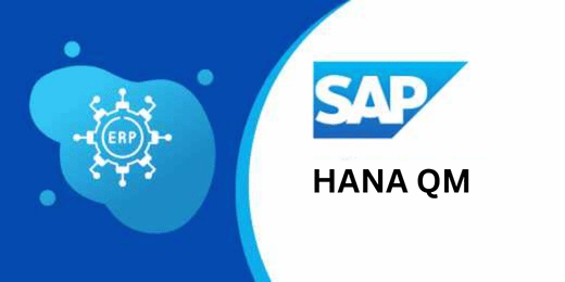 HANA QM